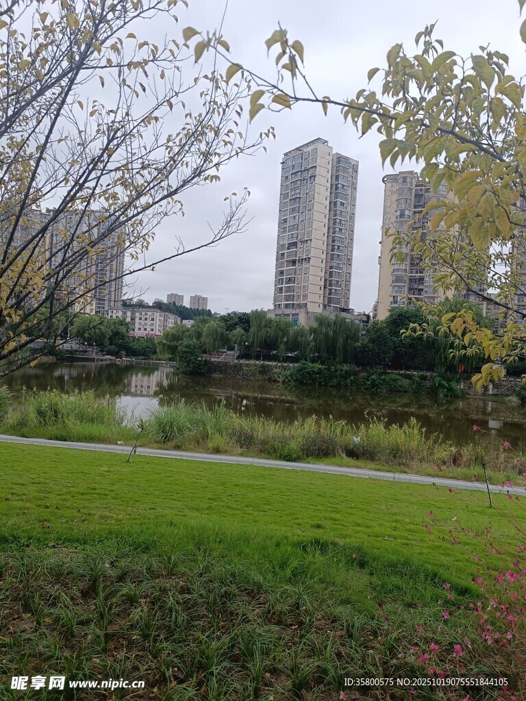 城市公园中的自然与建筑景观
