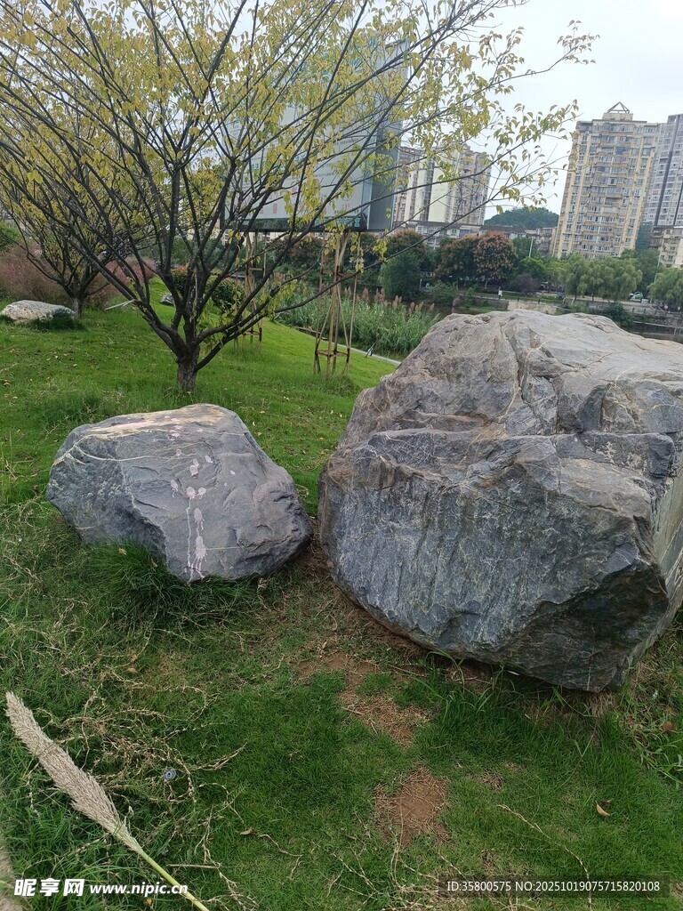 户外草地旁的巨石景观