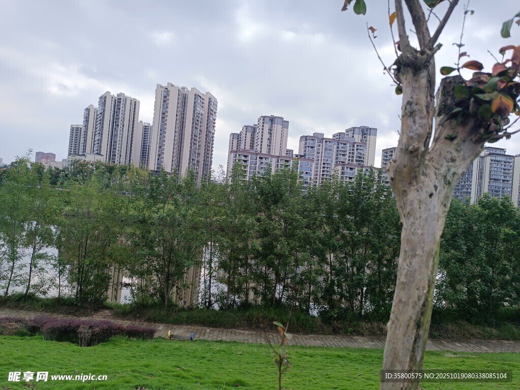 城市边的绿树与开阔草地