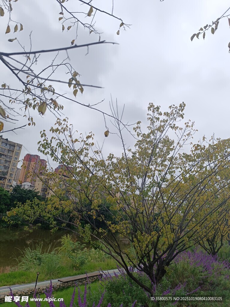 春日公园繁花绿树景致