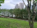城市中绿意盎然的公园景致