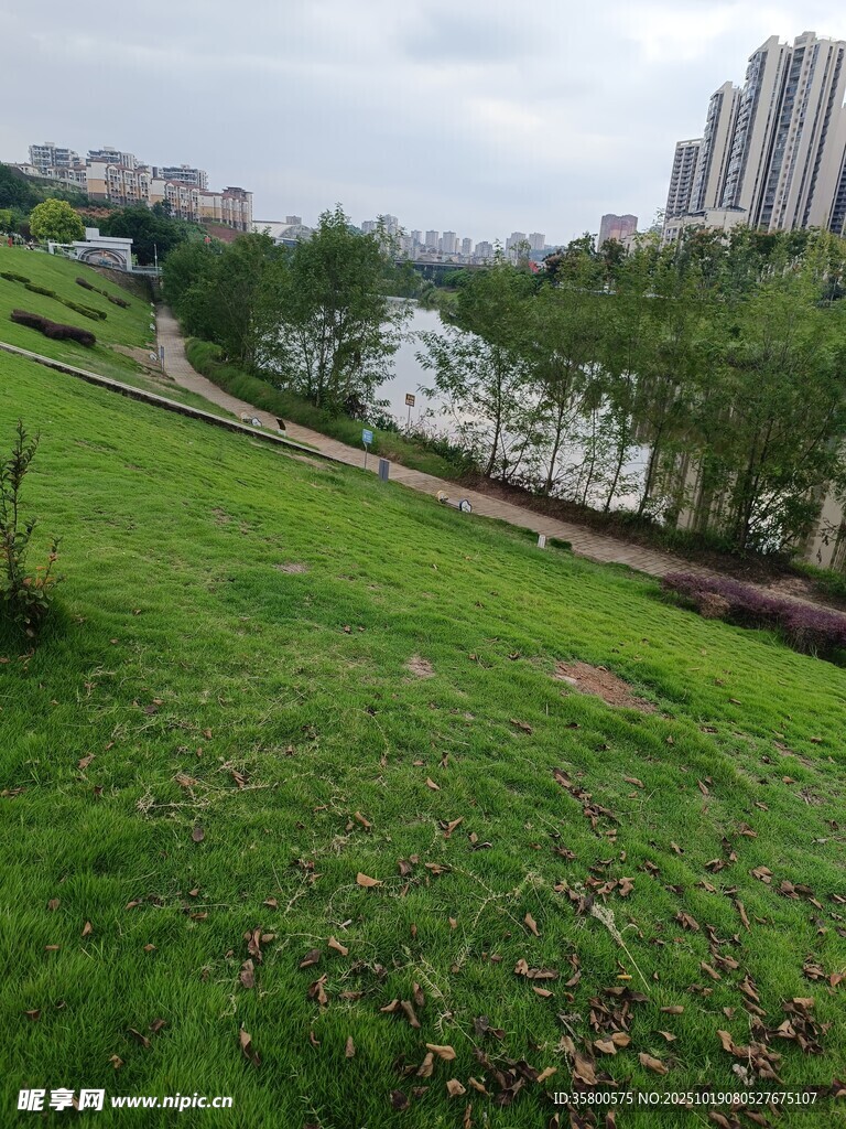 城市河畔绿意盎然景观