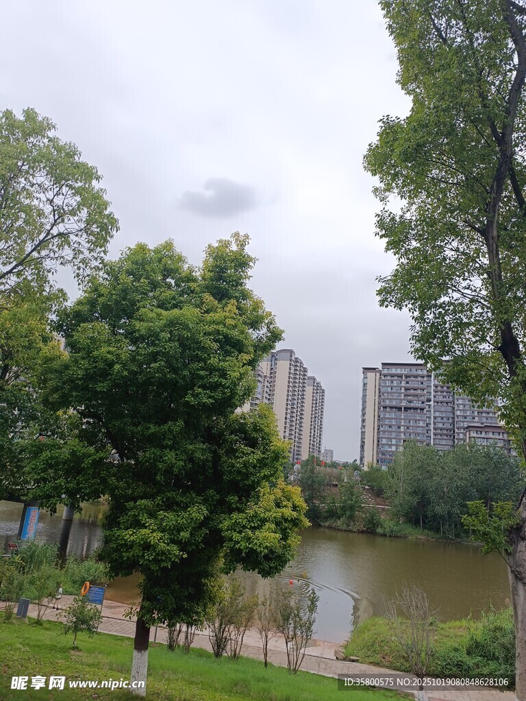 城市河畔绿树景观