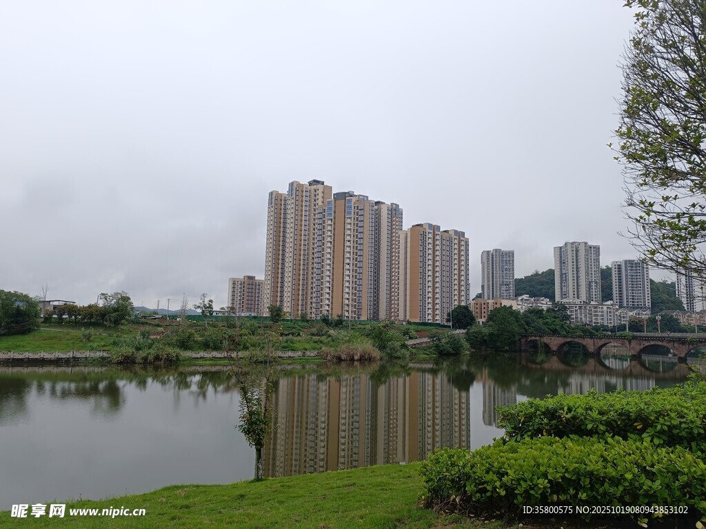 湖畔高楼与绿植景观