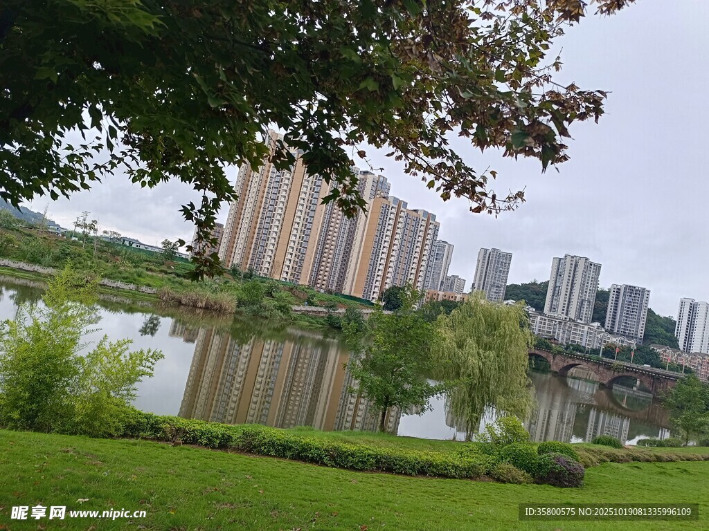 城市湖畔绿意盎然景致