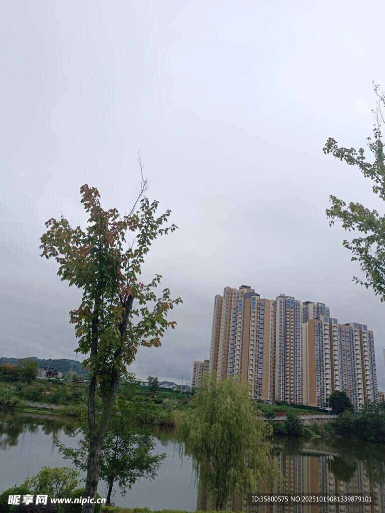湖畔高楼与绿树景观