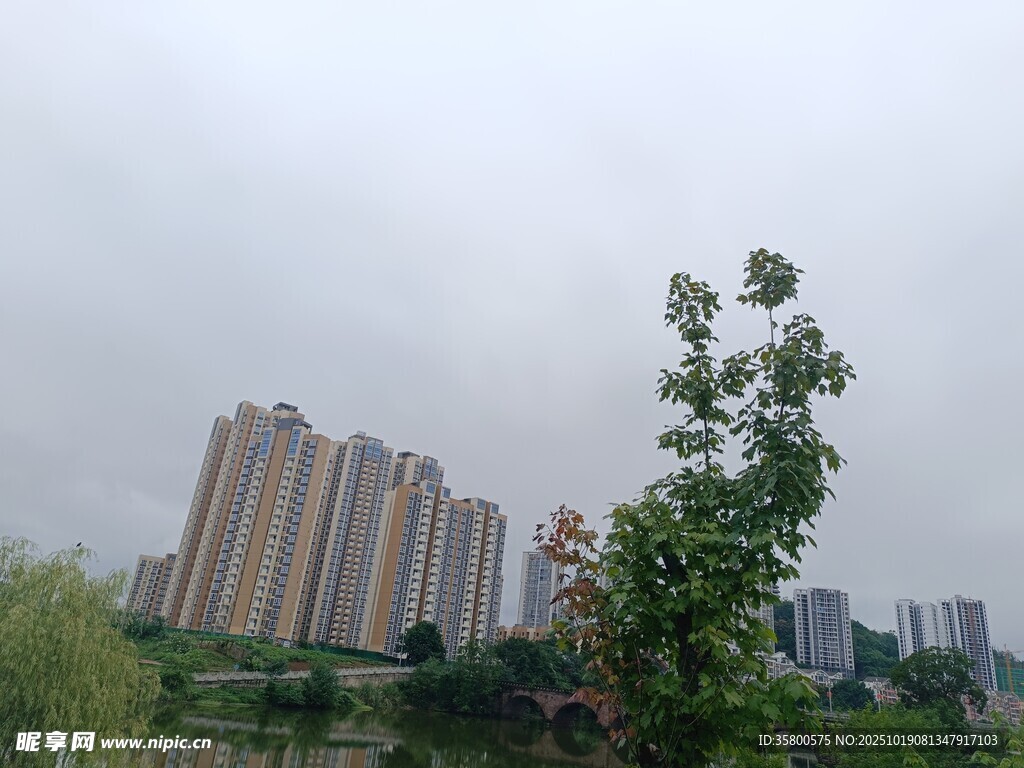 城市中的高楼与绿树