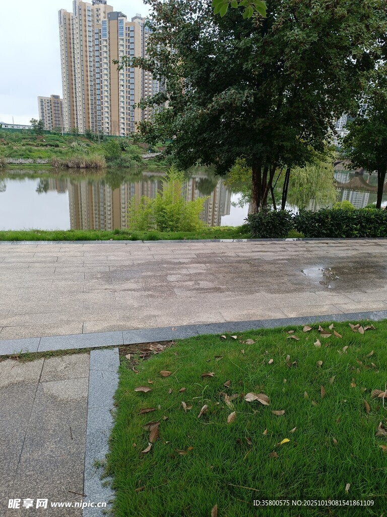 雨后城市湖边清新景致