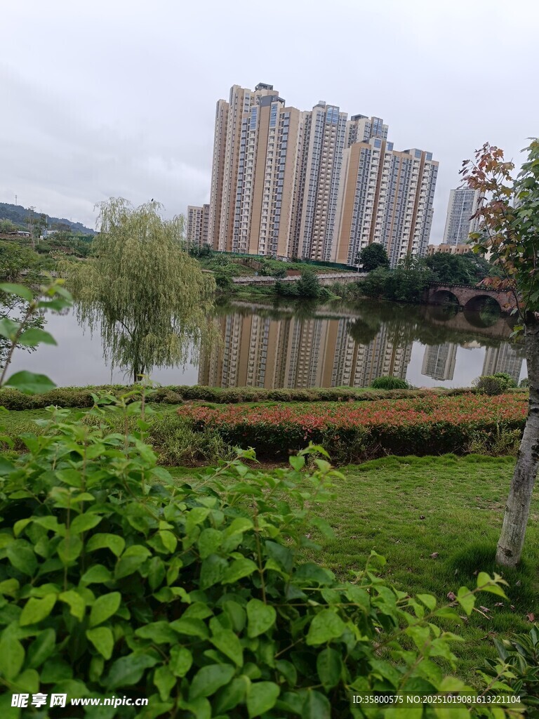 湖畔高楼与绿植相映成趣