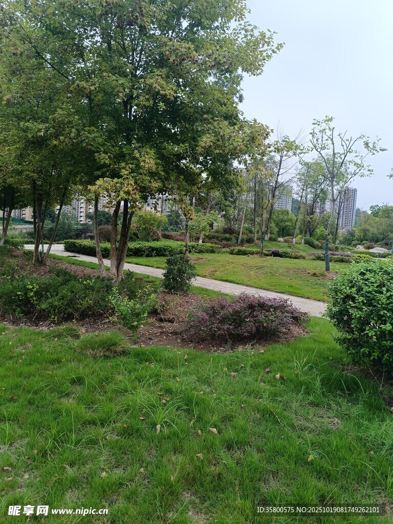 绿意盎然的公园景观
