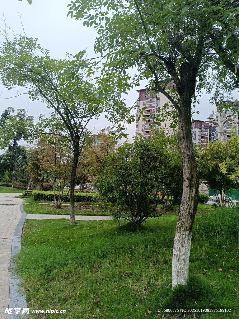 城市中的绿意小径