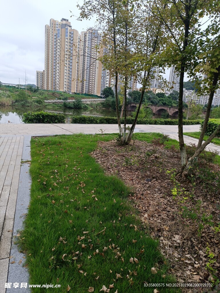 城市中的绿地与远处高楼