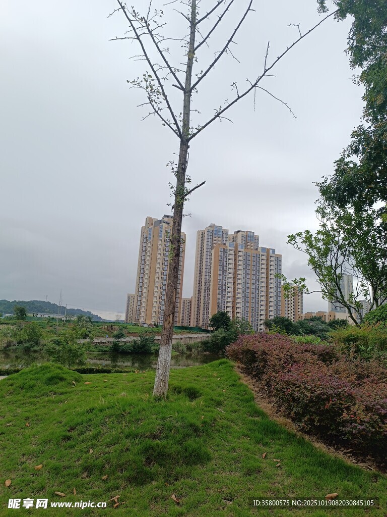 城郊草地旁的高楼景观