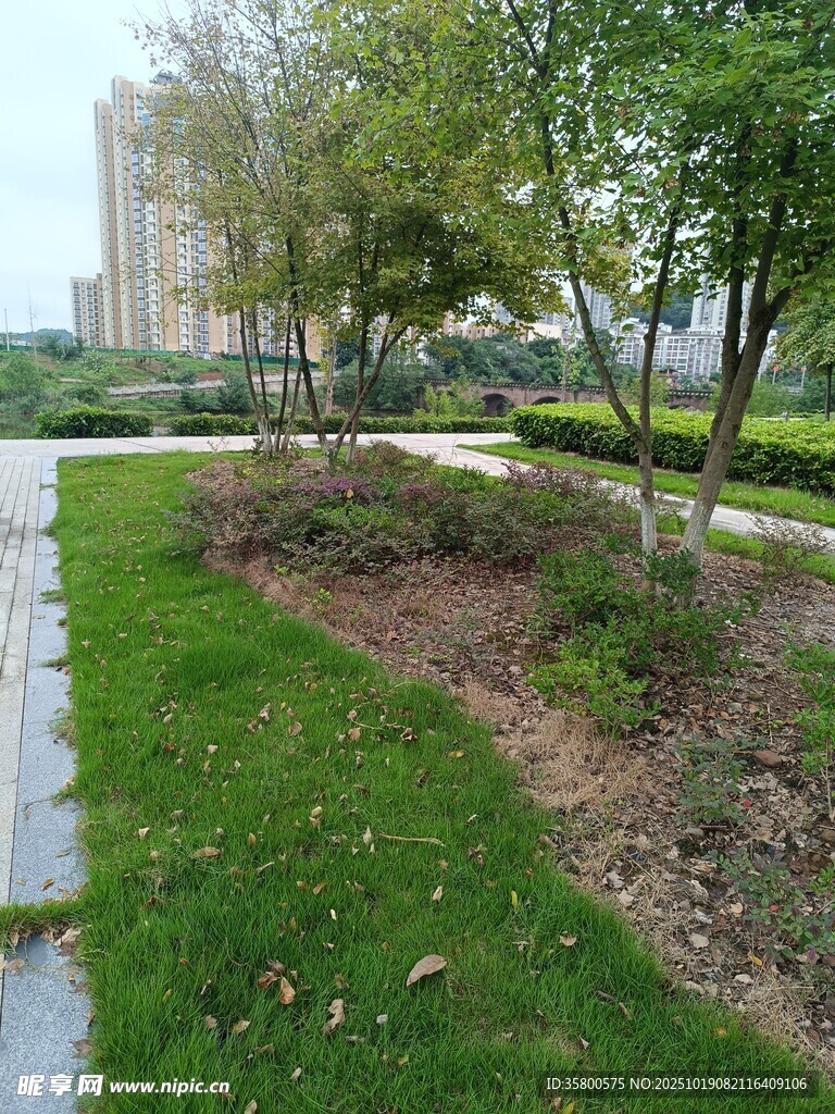 城市中的静谧绿化景观