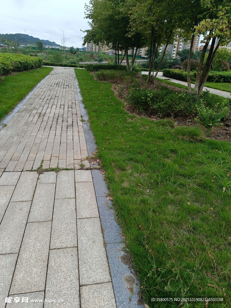 城市中整洁的砖石步道景观