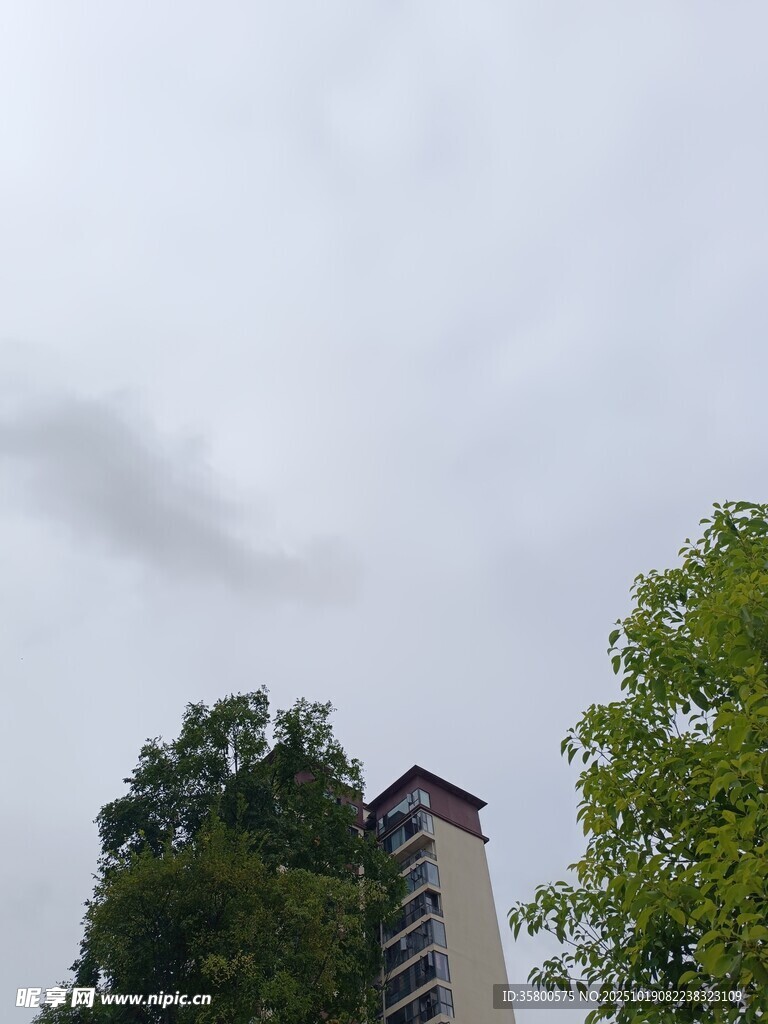 高楼旁绿树与阴沉天空