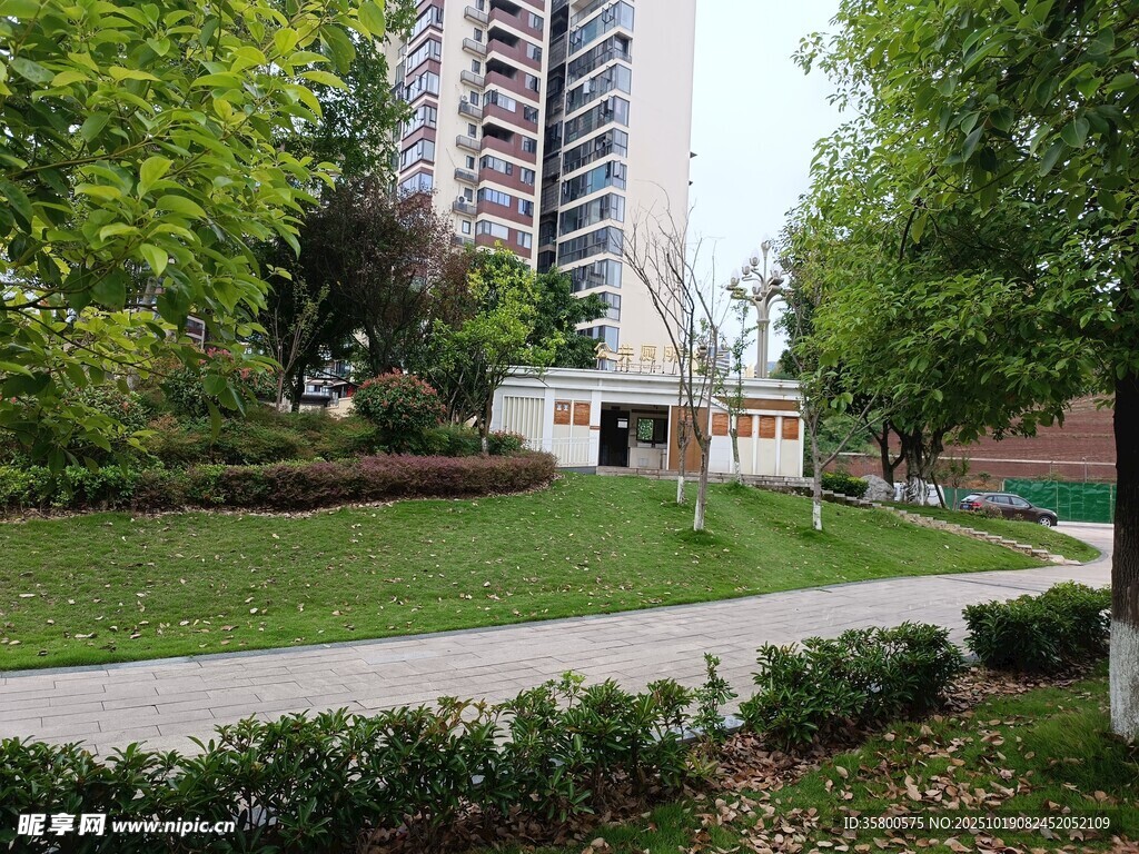 城市中的静谧绿地景观