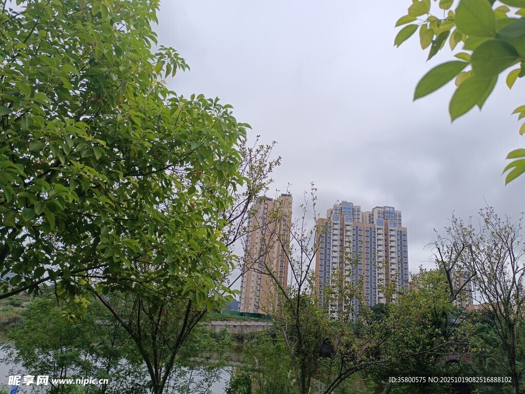 城市河畔绿树环绕的景致