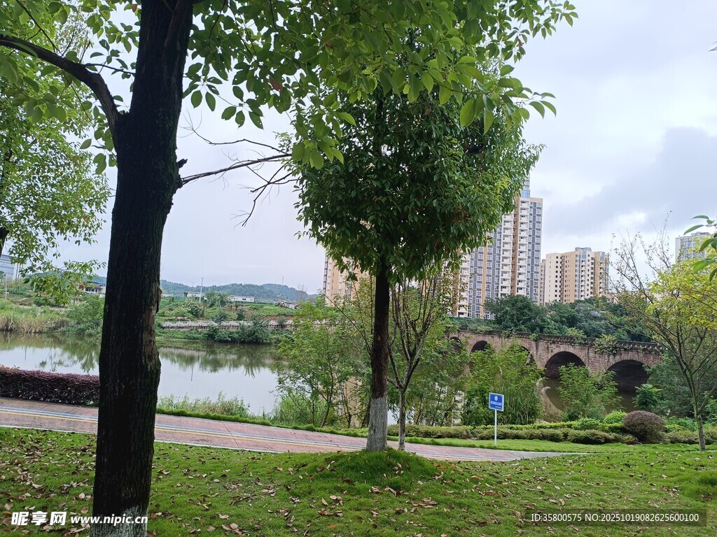 城市河畔绿树成荫美景