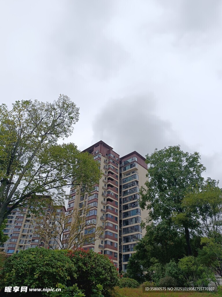 高楼矗立在绿树环绕间