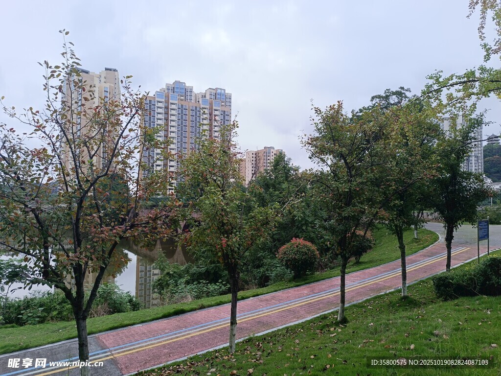 城市公园中的林荫步道
