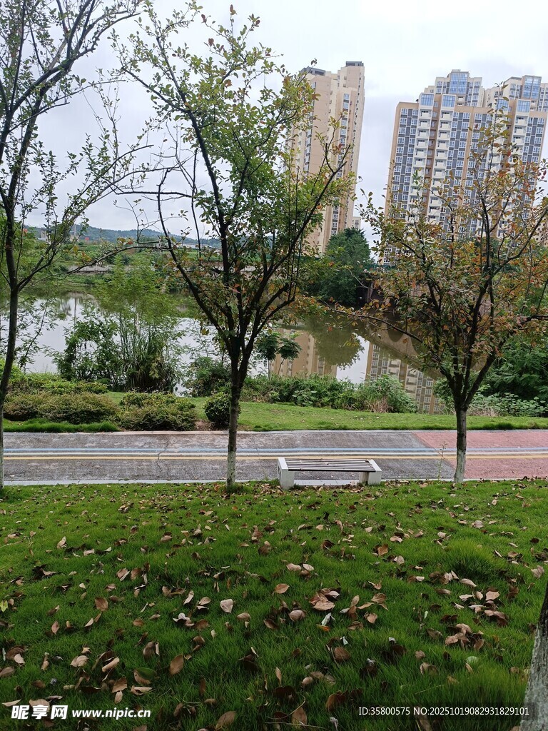 城市公园秋日静谧景致
