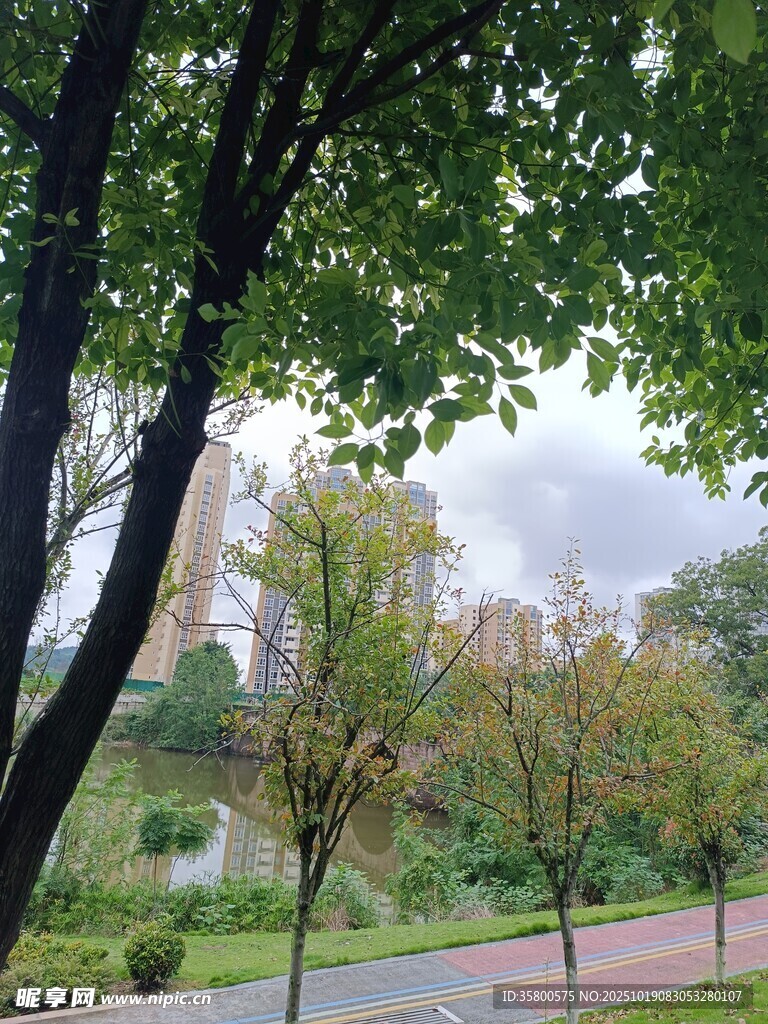 绿树环绕的宁静户外景致