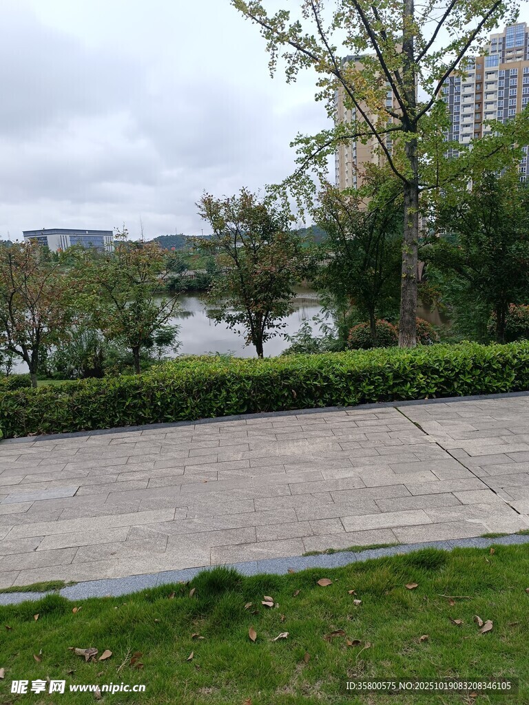 城市路边绿植景观