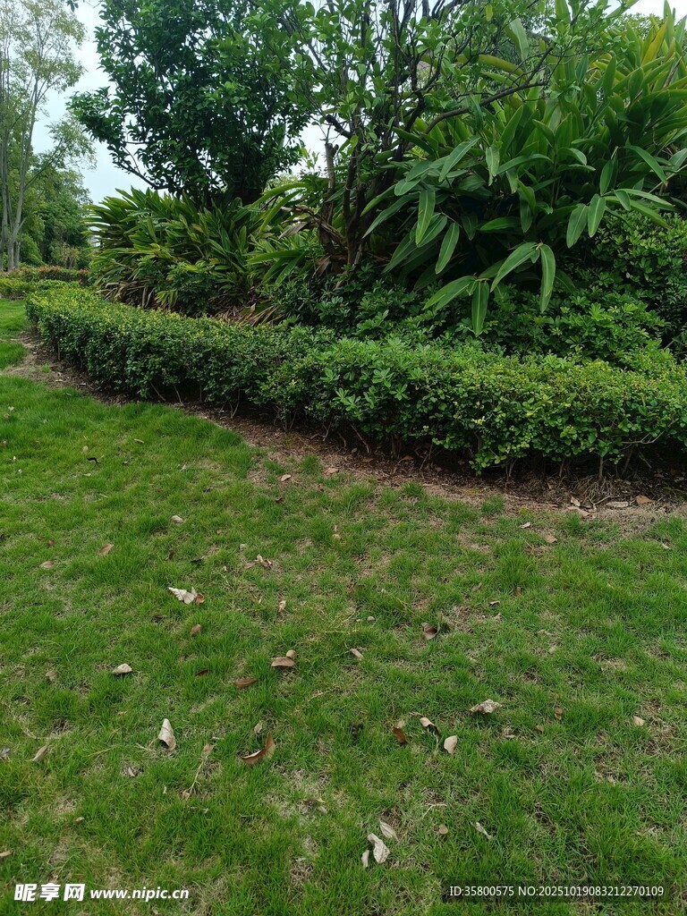 绿意盎然的园林草地景观