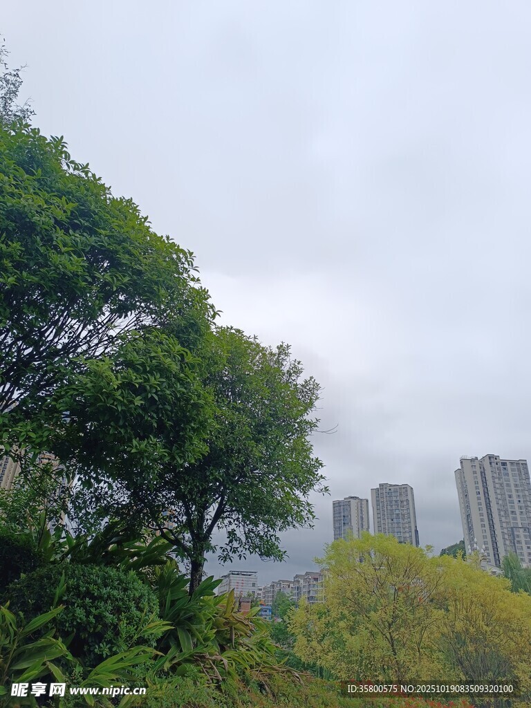 城市边绿树成荫的自然景致