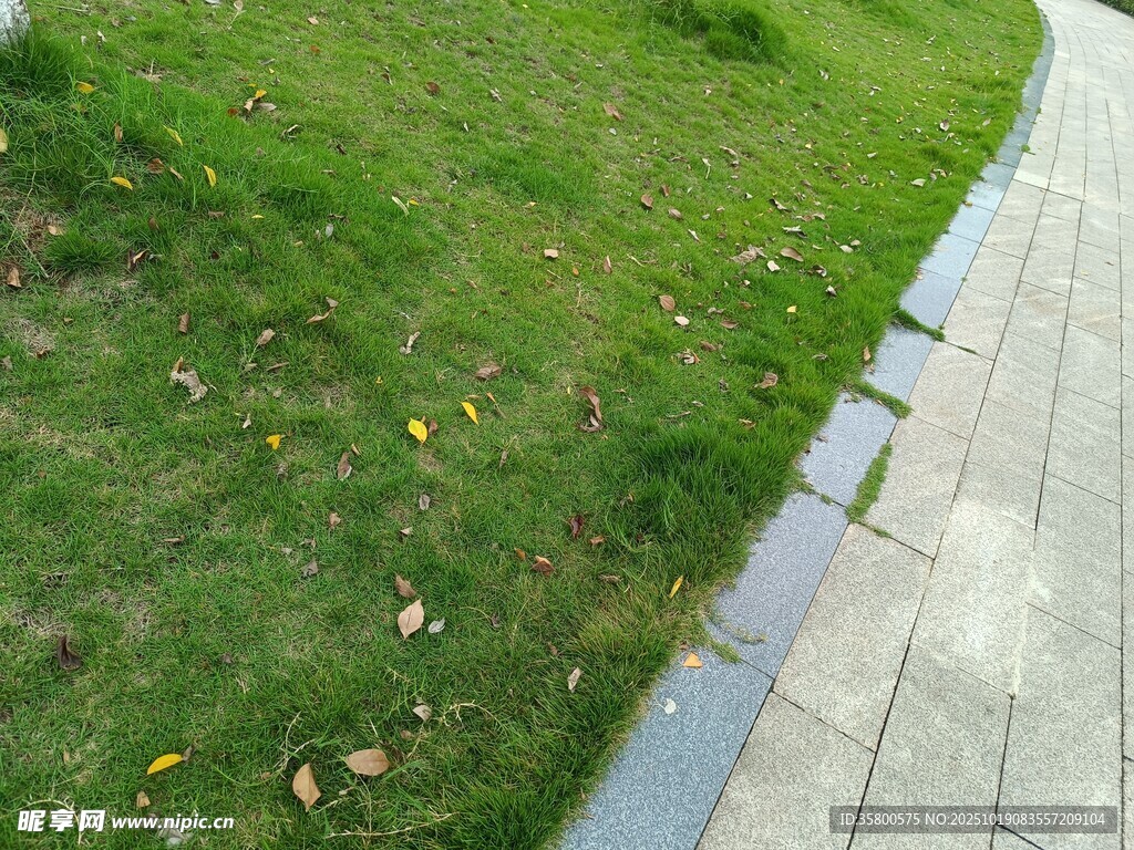 路边草地与砖石步道景观