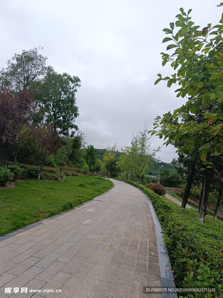 蜿蜒小路旁的绿意景致