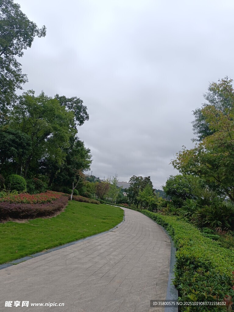 蜿蜒小径旁的绿意景致