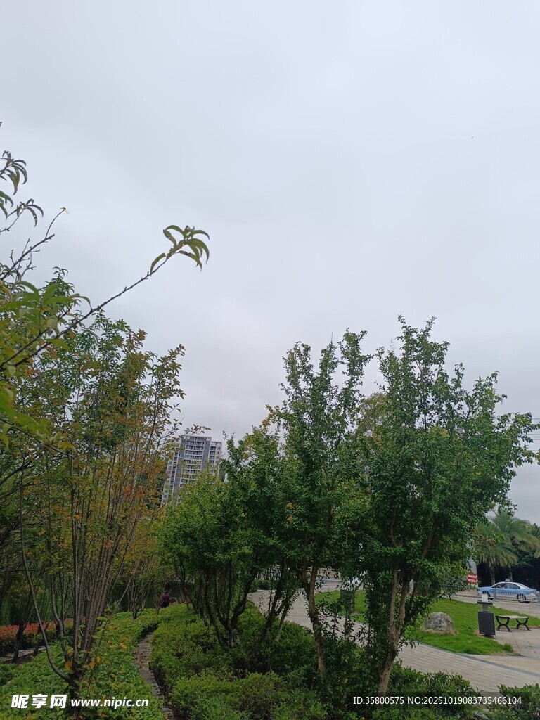 户外绿植景观