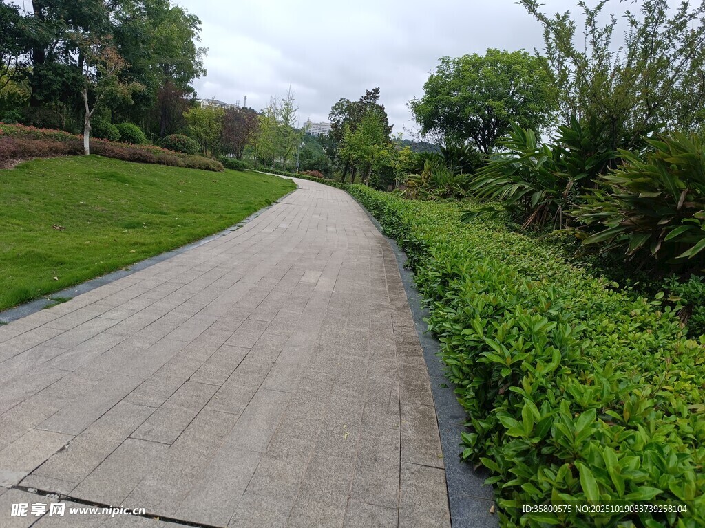 林间漫步道