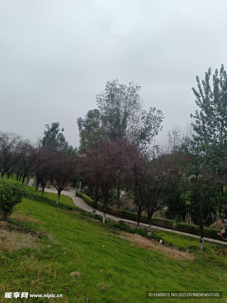 郊外绿意盎然的宁静小路