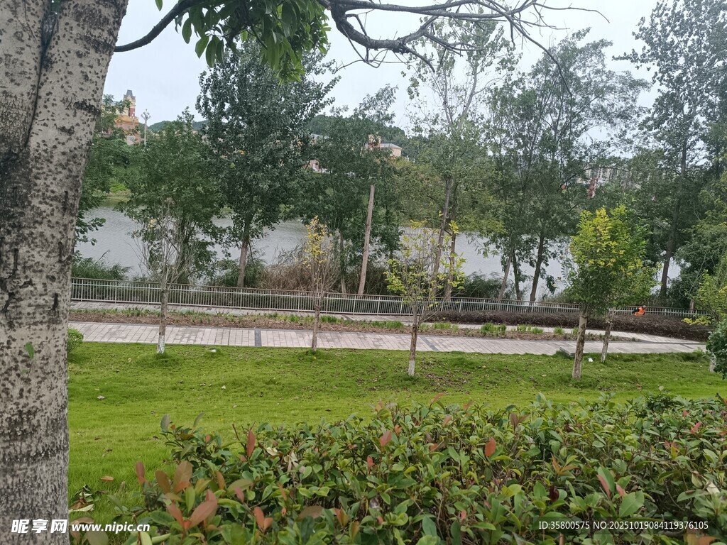 公园绿植景观