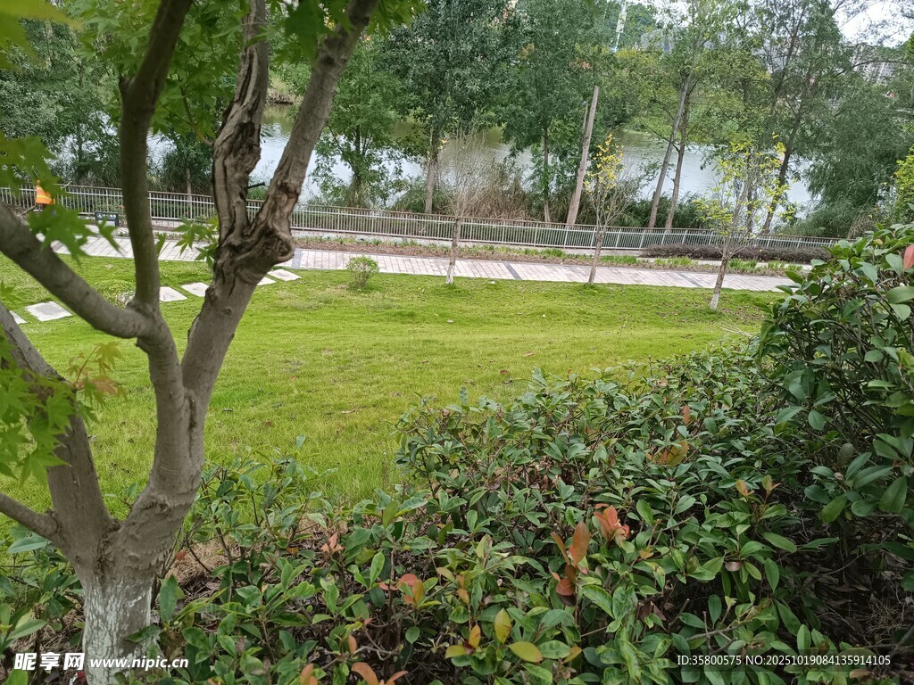 户外绿植景观一角