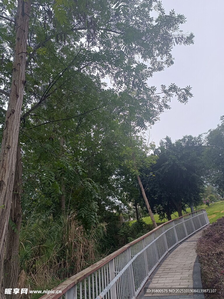 林间漫步道 