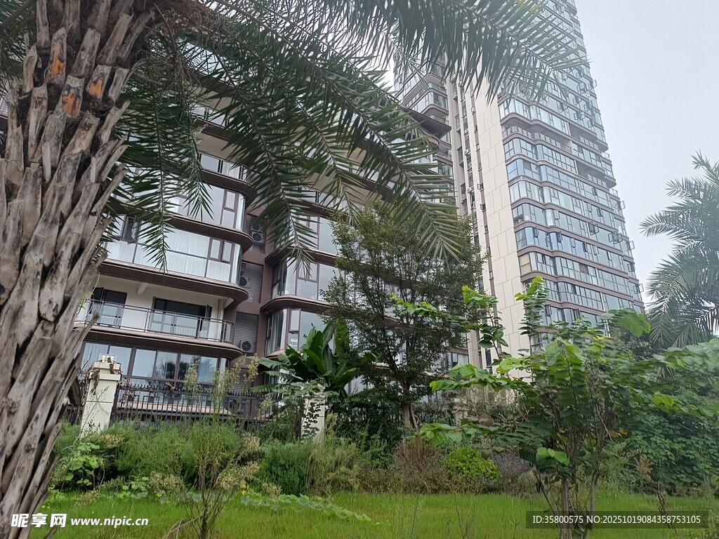 高层住宅旁的绿植景观