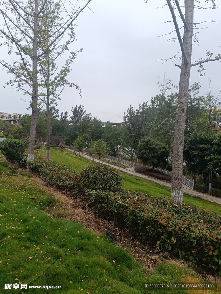城市绿化带景观
