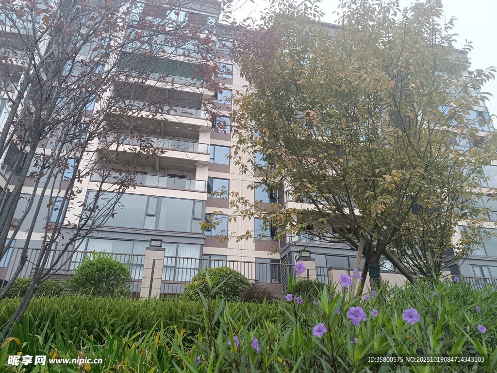 现代建筑旁的绿植景观