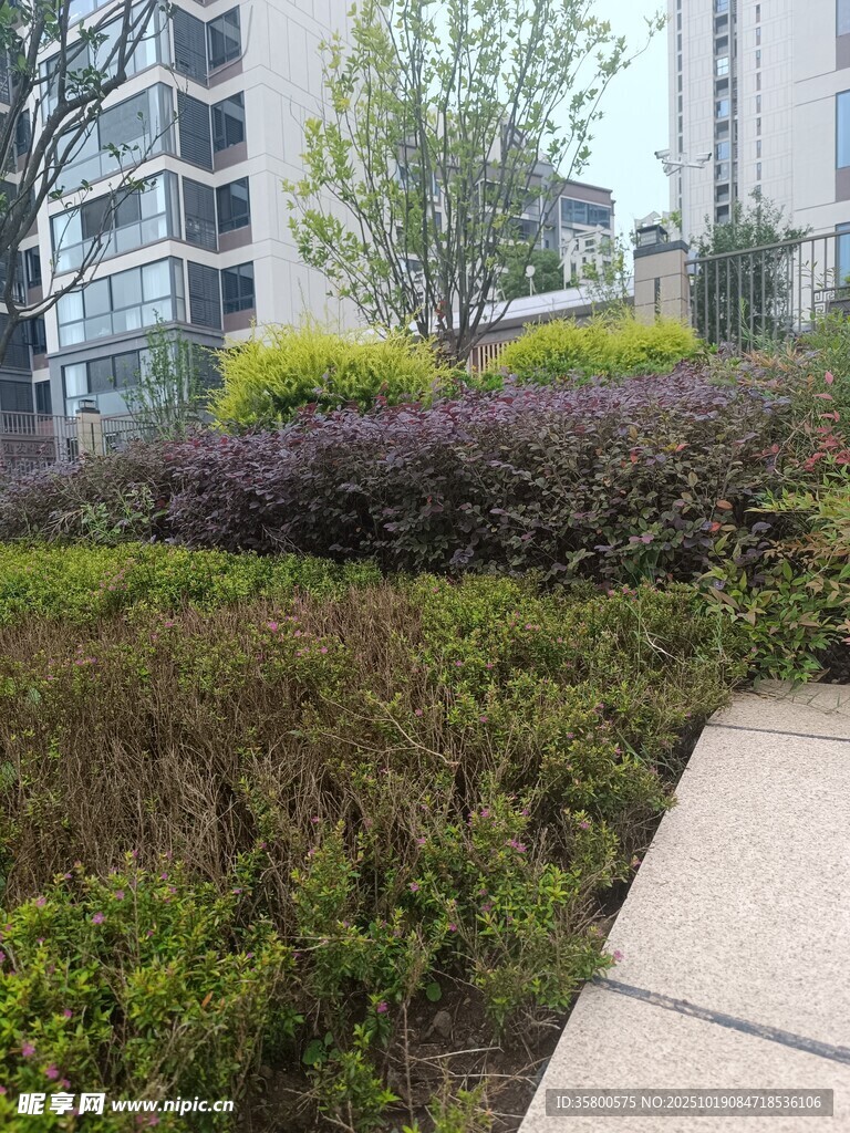 城市中的绿植景观一角