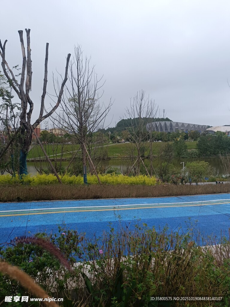 户外蓝色泳池与自然景观