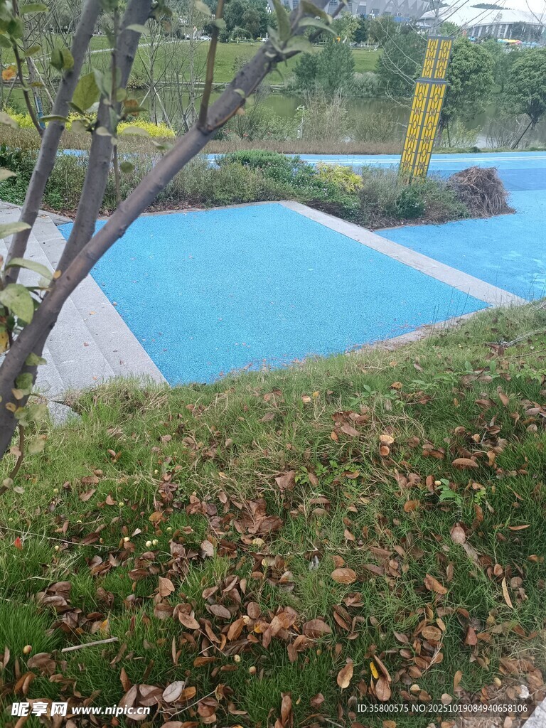 户外泳池边的秋日景致