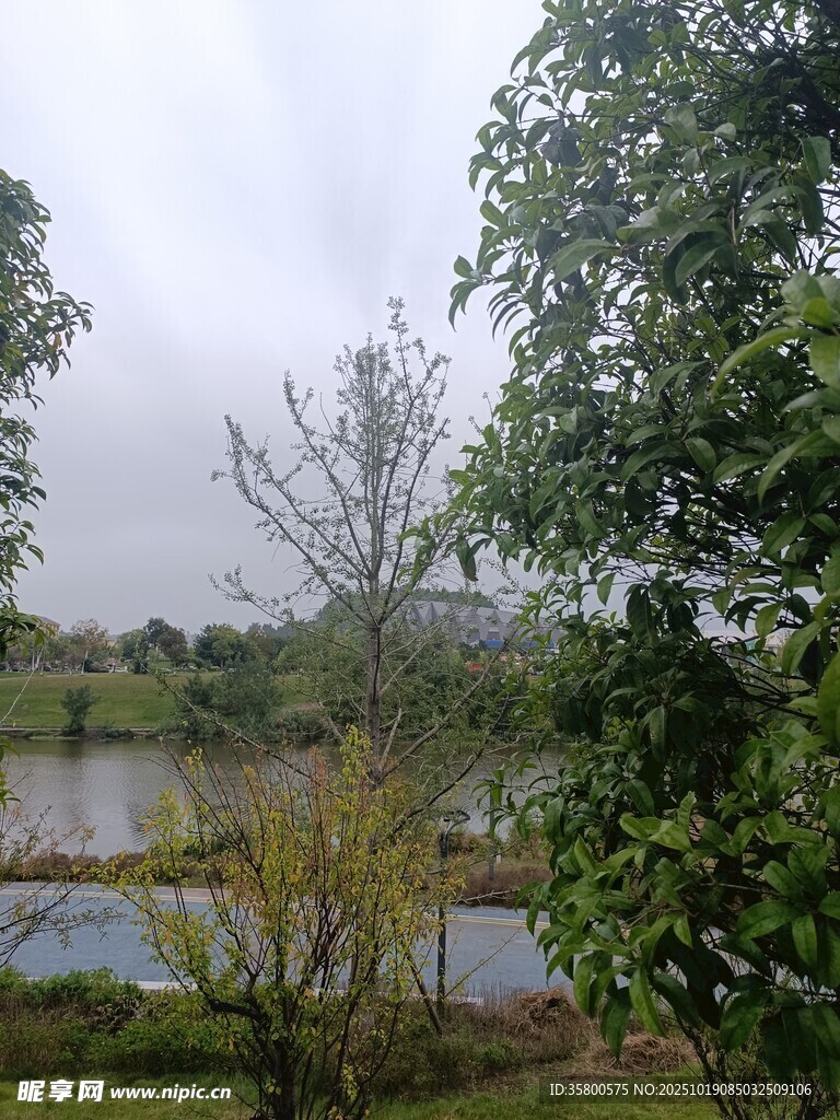 湖畔绿树环绕的宁静景致