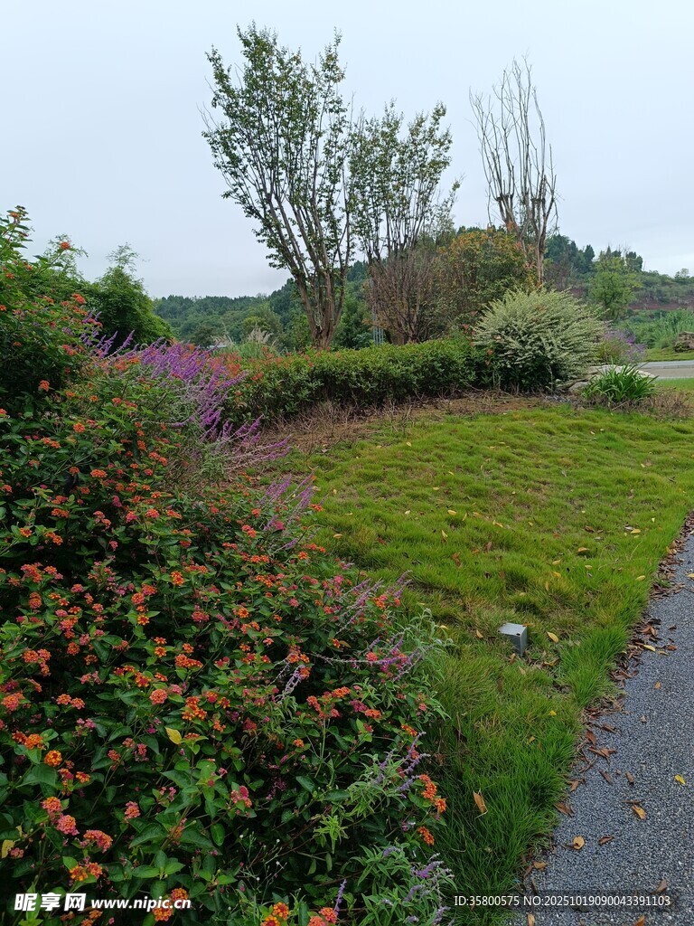 美丽户外花园景观