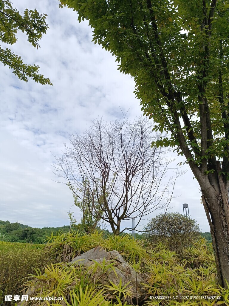 山林间的静谧自然景致