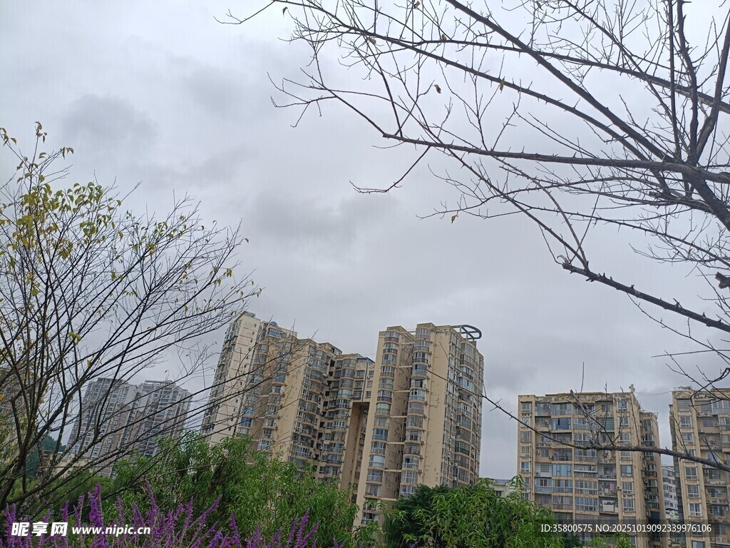 城市中的高层住宅与绿植