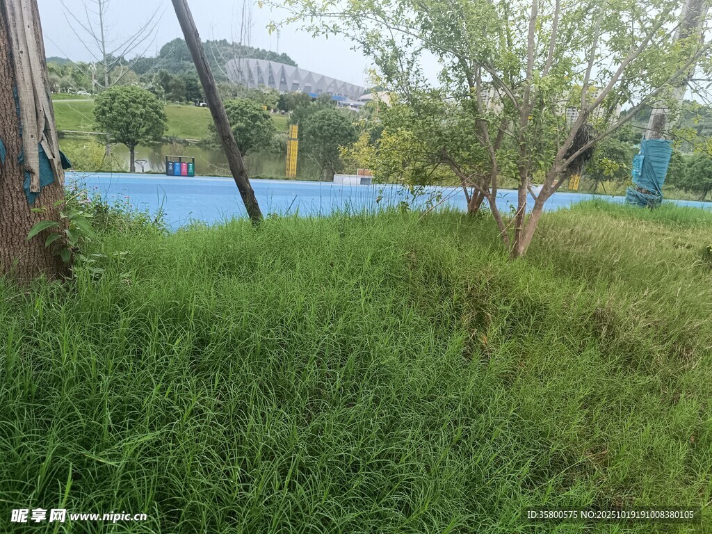 户外草地与远处蓝色景观